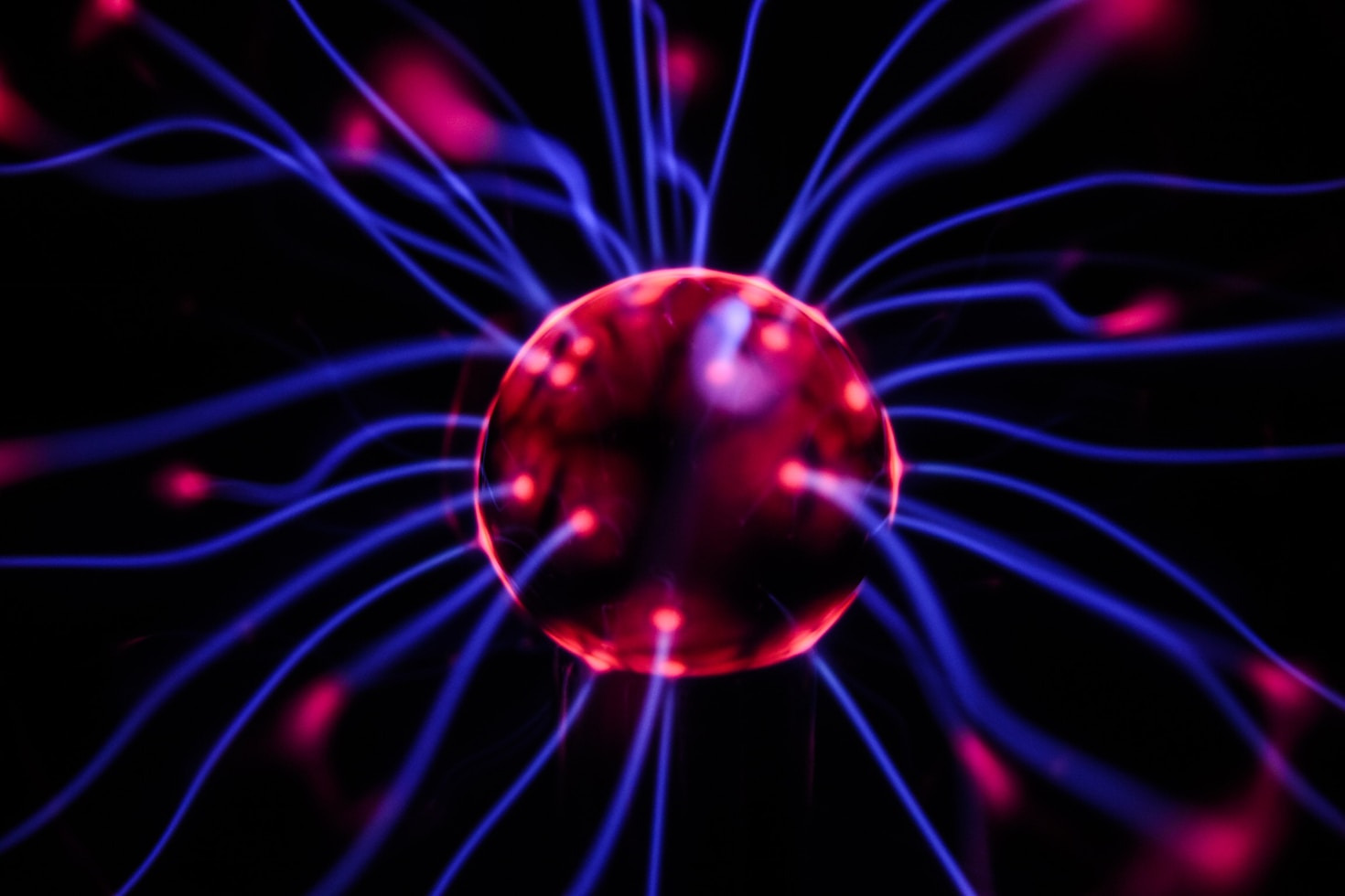 The Origins and Evolution of Consciousness Explored