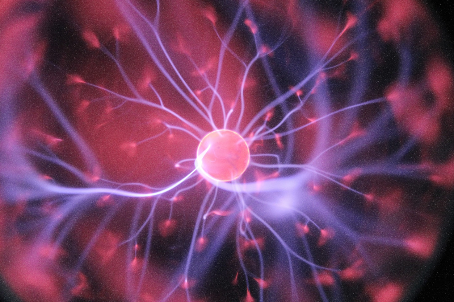 Collaborative Innovation in Consciousness Studies